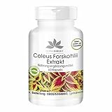 Forskolin Kapseln - hochdosiert - Coleus Forskohlii Extrakt - 60 Kapseln | HERBADIREKT by Warnke Vitalstoffe - Deutsche Apothekenqualität