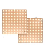 Pflanzenlampen, 2PCS LED Wachsen Licht Voll Spektrum Lampe Wachsen Pflanzen Wachstum Lampe 1000W 2000W Hydrokultur Licht Blume Samen zelt 85-265V(Type F-1000W-81leds)