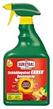 Substral Celaflor Schädlingsfrei Careo Rosenspray, gegen Schädlinge wie Blattlaus, Schildlaus, Wolllaus, Raupen, 750ml