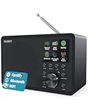 MAJORITY Touro Internetradio WLAN | DAB+ Radio mit Bluetooth | DAB Plus Radio Küchenradio | Internet WLAN mit DSP Lautsprecher | Digitalradio | Frontier Oktiv App Fernsteuerung