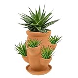 Ranley Erdbeerturm – Vertikaler Pflanzturm für Gartenerdbeeren, dekorativer Behälter mit Tablett für, Gartenbedarf für Gemüse, und Orchideen