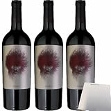 usy Bundle für Egobodegas 'Gorü' Jumilla Rotwein 3er Pack (3x750ml Flasche) + usy Block