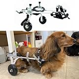 Verstellbarer Hunderollstuhl – 2-Rad-Mobilitätshilfe für behinderte Hunde, Rücken- und Beinstütze, Haustier-Mobilitätsgerät für aktiven Lebensstil und Rehabilitation