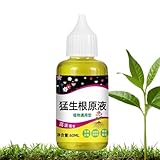 Pflanzenwurzelstimulator, Wurzel für Pflanzen | Professioneller Wurzelwachstum Dünger | Organischer Wurzelstimulator Organischer Wurzelstimulator Organischer Wurzelstimulator Organischer Wurzelstimul