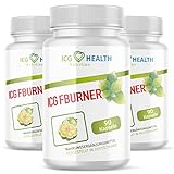 ICG Health Nutrition FBURNER | F Burn mit Garcinia Cambogia Extrakt | 90 Kapseln pro Dose 3x