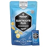 Elektrolyte Pulver Hochdosiert 2290mg 25 Beutel mit Magnesium Kalium Calcium + 8 B-Vitamine Natürlicher Zitronengeschmack Vegan Für Sport und Ketogene Ernährung