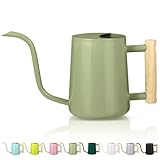 Gießkanne Zimmerpflanzen, 1L Gießkanne Klein Indoor Gießkanne Metall Edelstahl Moderner Dekorativer Giesskanne mit Langem Auslauf für Haus Pflanze Bonsai Outdoor Garten Blumen (Avocado Grün)