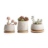 T4U Zement Sukkulenten Töpfchen mit Untersetzer Rund 3er-Set, Beton Mini Blumentopf für Kaktus Miniaturpflanzen