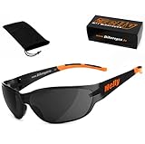 HELLY® - No.1 Bikereyes® | Bikerbrille, Motorrad Sonnenbrille, Motorradbrille | beschlagfrei, winddicht, bruchsicher | TOP Tragegefühl | Brille: i-cut (smoke)