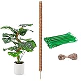 Monstera Rankhilfe, 80cm Pflanzstab Kokos, Biegsame Moosstab für Monstera mit Zubehör, Stab für Kletterpflanzen Natürlicher Pflanzenstütze