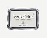Rayher 29017102 Versa Color Pigment-Stempelkissen, 9,6x6,3x1,8cm, weiß