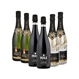 Arthur Metz Crémant Kollektion | 6 Flaschen | 2x Brut, 2x Brut Prestige, 2x Cuvée Perle Noire | Exquisite Schaumweine aus dem Elsass | 750ml