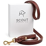 Scout Supply Klassische Leder-Hundeleine, robustes, dickes Vollnarbenleder, wasserdicht und rostfrei, Messingbeschläge (Dunkelbraun, L: 1,4 m x 2/7,6 cm)