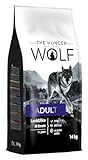 The Hunger of the Wolf Hundefutter für ausgewachsene Hunde aller Rassen, Fein zubereitetes Trockenfutter mit Lamm und Reis - 14 kg