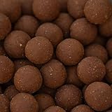 SBS Baits 3kg Eurostar Boilies 16 mm Squid-Octopus-Scopex Futter Karpfen Köder Angeln Scopex Squid Oktopus