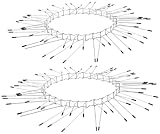 Exbuster Katzenabwehr Baum: 2er-Set Marder-& Katzen-Abwehrgürtel, Edelstahl, für bis Ø 12 cm (Marderabwehr Baum, Marder-Katzenabwehr, Marderschreck)