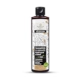 NATYR - Aufhellendes Shampoo - stumpfes Haar - Argan und Figur - Bio - 250 ml