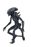 NECA Reel Toys Aliens Arachnoid Alien 2021 Actionfigur 22,9 cm