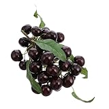 EXQUIMEUBLE Künstliche Kirschen Deko Obstattrappe aus Hochwertigem Schaumstoff Wetterfest Lebensecht für Garten Küche Fotorequisiten Party Dekoration Naturgetreu und Langlebig