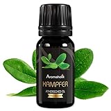 Aromaholik Kampferöl BIO 100% naturrein – Ätherische Öle für Diffuser & Aroma Diffuser – Zertifiziertes ätherisches Öl aus Indien – Camphor Essential Oils 10ml für Sauna & Massage