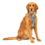 Kurgo TRU-Fit Hundegeschirr, Crash-Test-erprobtes Auto-Sicherheitsgurt, Für Hunde von 2 bis 5 kg, Größe L, Grau
