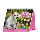 Trötsch Aufstellkalender Glück auf vier Pfoten 2026: Aufstellkalender Tischkalender