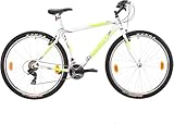 Multibrand Distribution Probike PRO 29 Zoll Fahrrad Mountainbike 21 Gang, Herren, Damen geeignet ab 175-190 cm (Weiß Grün Matt)