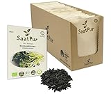 Sonnenblumen BIO Keimsprossen von SaatPur - Sprossen, Microgreens - Großes Tray mit 30 Portionstüten je 50g