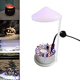 TASHELLS Ultraschall Vernebler,Nebelmaschine Mini,Halloween Cauldron Deko,12 LED Mister Fog Machine,Nebelbrunnen