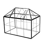 lesolar Terrarium Mini Gewächshaus Glas Geometrische Pflanze Terrarium, 22x14x18 cm Sukkulent Luft Pflanzgefäß mit Deckel für Home Garden Office Dekoration DIY-Geschenk (Schwarz)