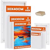 Koncci Leinwand zum Bemalen, 10 Stück 5 Größe Keilrahmen,10x15, 15x20, 20x25, 25x30, 30x40cm(je 2 Stück), 280g/m² Dreifach Grundiert Baumwolle Leinwand, Leinwände für Acrylfarbe, Aquarell, Öl, Gouache