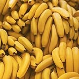 150 Pcs Bananensamen Bananenbaum Winterhart - Bio Saatgut, Alte Sorten Saatgut Bananenpflanze Bananen Samen, Obst Frisch, Winterharte Pflanzen Für Balkon Bäume Garten Winterhart, Gartenpflanzen