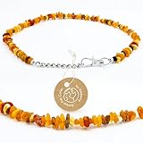 Amberta Bernstein Halsband für Hunde und Katzen | Bernsteinkette für Hunde | 25-30 cm