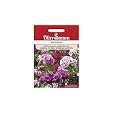 Dürr-Samen - Bartnelke Mischung zweijährig 50-60 cm Saatgut