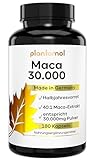 30.000mg pro Kapsel - 180 Stück - Maca Kapseln hochdosiert - 750mg Maca-Extrakt 40:1 pro Kapsel entsprechen 30.000mg Maca-Pulver - 1 Kapsel/Tag = 180 Portionen = Halbjahresvorrat - vegan - plantomol®