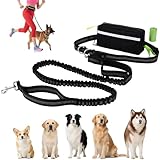 Euqvunn Joggingleine Hunde mit Hüfttasche – 1,6 m bis 2,2 m, Doppelte Griffe, Elastische Leine für Mittelgroße Hunde, Ideal für Laufen, Spazierengehen, Wandern, Bergsteigen & Reisen
