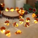 YUYWWAN Herbst Eicheln Lichterkette, 3 Meter 30 LED Herbstdeko Lichterketten mit Eicheln, Herbstliche Lichterkette für Innen und Außen Herbstpartys Halloween Thanksgiving Herbsternte Deko (A)