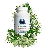 MUTTERKRAUT 180 Kapseln - Migränekraut Feverfew - NATUR Pur nach HILDEGARD VON BINGEN [6-MONATS-VORRAT] - OHNE ZUSATZSTOFFE 26307