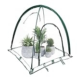 Tesmotor Gewächshaus Überwinterungszelt für Pflanzen, Pop-Up Gewächshaus mit Aufrollbaren, Überwinterungszelt Indoor Outdoor Blumentopf-Abdeckung 92x92x100CM