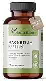 plantrition Magnesium Kapseln 775 mg davon 100 mg elementares Magnesiumglycinat pro Kapsel - Magnesium-Bisglycinat hochdosiert - 120 Vegane Kapseln