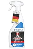 Anti Ameisen-Spray für drinnen & draußen 500ml - effektives Ameisenmittel zum bekämpfen von Ameisen für Haus & Garten mit Sofort- & Langzeitwirkung - & geruchsneutral