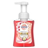 Sagrotan Samt-Schaum Seife Kirschblüte & Rose – 1 x 250 ml Schaumseife im Seifenspender