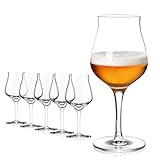 Sahm Biergläser Set 6 STK - 420ml Bier Sensorik Pokal - Bier Gläser Spülmaschinengeeignet - Ideales Gourmet Bier Geschenk & Craft Beer Gläser