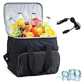 Elektrische Kühltasche 15L - 12V DC Autokühler mit Schultergurt & Aufbewahrungstasche, Tragbare Elektrische Kühlbox für Auto, LKW & RV Camping