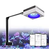 PopBloom RL90 WiFi Meerwasser Aquarium LED Beleuchtung, 100W Aquarium Licht mit Universalarm-Kit für Salzwasserfische und Riffkorallenbecken Salzwasser Aquarien