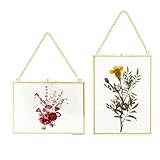 Bilderrahmen Glasrahmen, 2Pcs Hängende Glas Metall Fotorahmen Pflanze Probe Clip Für Gepresste Blumen Fotos Nur Glasrahmen, 13x18cm, Golden