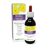 Habichtskraut (Hieracium pilosella) Kraut Alkoholfreier Urtinktur Naturalma - Flüssig-Extrakt Tropfen 120 ml - Nahrungsergänzungsmittel - Veganer