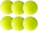 ATHLEJOY 6X Tennisbälle- gelb für Training & Wettkampf mit Tragetasche für Tennis - Hunde - Waschmaschine