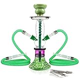 REANICE 11'' Shisha Wasserpfeife Hookah Set Glas Chicha Kit mit 2 Schläuche, Narghile Smokebox Bar Zubehör (Grün)