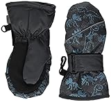 Sterntaler Baby-Jungen Fäustel Dinosaurier Fäustlinge, Grau, 2